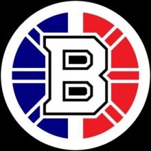 nhlbruinsfr
