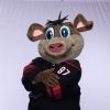 nhlstormy