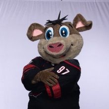 nhlstormy