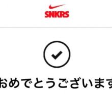 ni.ke.yasetai