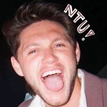 niallontours