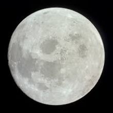 nightofnyx8
