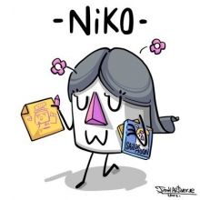 nikoinframe