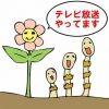nise.toeic