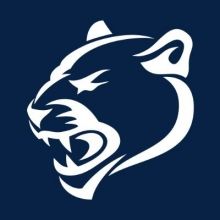 nittanylionwire