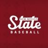 nmstatebaseball