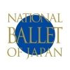 nntt.ballet