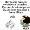 norma36725159