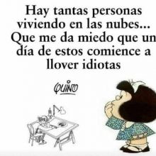 norma36725159