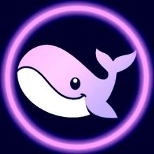noticcrypto