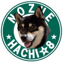 nozue.hachi8