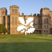 nthardwick