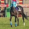 ny.horseracing