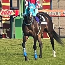 ny.horseracing