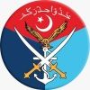 officialdgispr