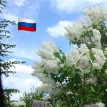 ogladyseva