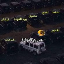 omar14435536