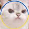 omaya.simidzu