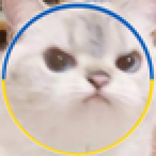 omaya.simidzu