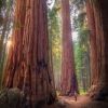 onationalparks
