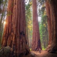 onationalparks