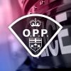opp.news