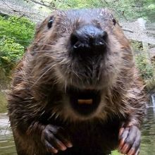 oregonzoo