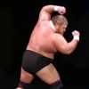 otiswwe