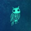 owlfocus