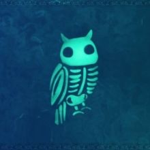 owlfocus