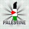 palestinenw