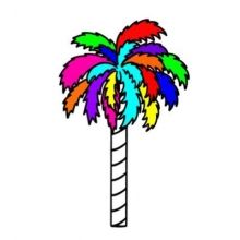 palm.photos