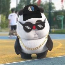 pandahank41