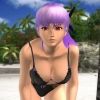 paradise.doa