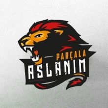 parcalaaslanim