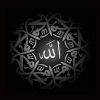 parray.burhan