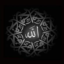 parray.burhan