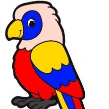 parrotscountry
