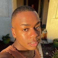 persniggety
