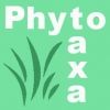 phytotaxa