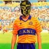 pierrotigre