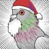 pigeon.8109