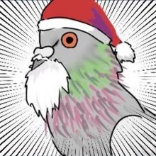 pigeon.8109