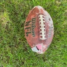 pigskinpapers