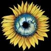 pinkfloyd