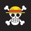 piratejesuis