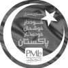 pmln.skt