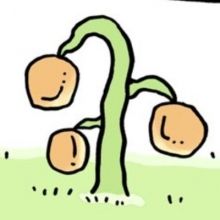 pokkaripon