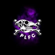 polygonllamafc