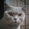 postlink2007